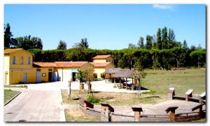 centrovisite